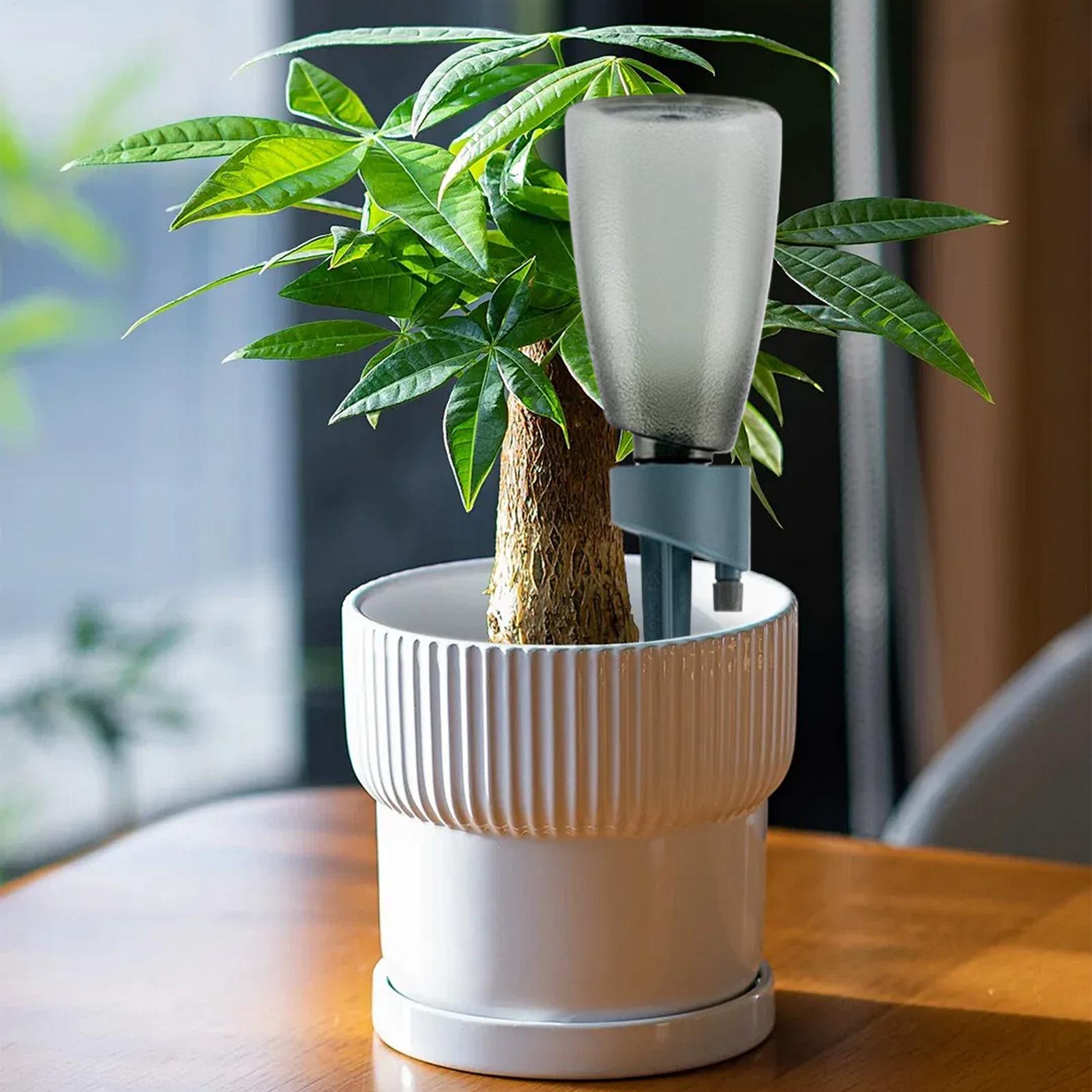 6pcs Automatic Waterer Househo - đánh giá và giá Self Watering Insert