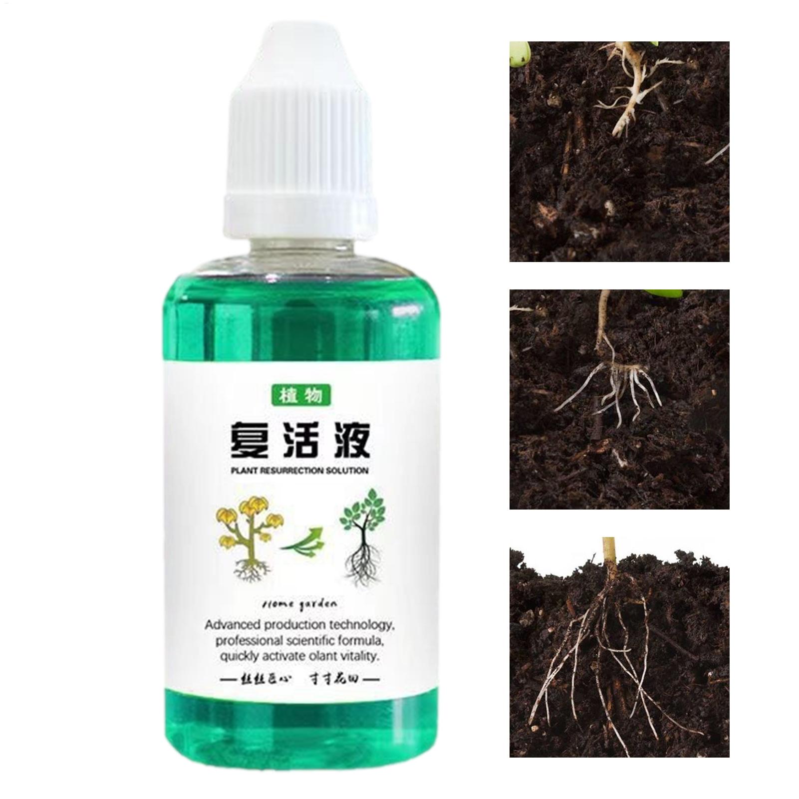 50ml Root Stimulator Plant Res - đánh giá và giá Root Stimulator Liquid