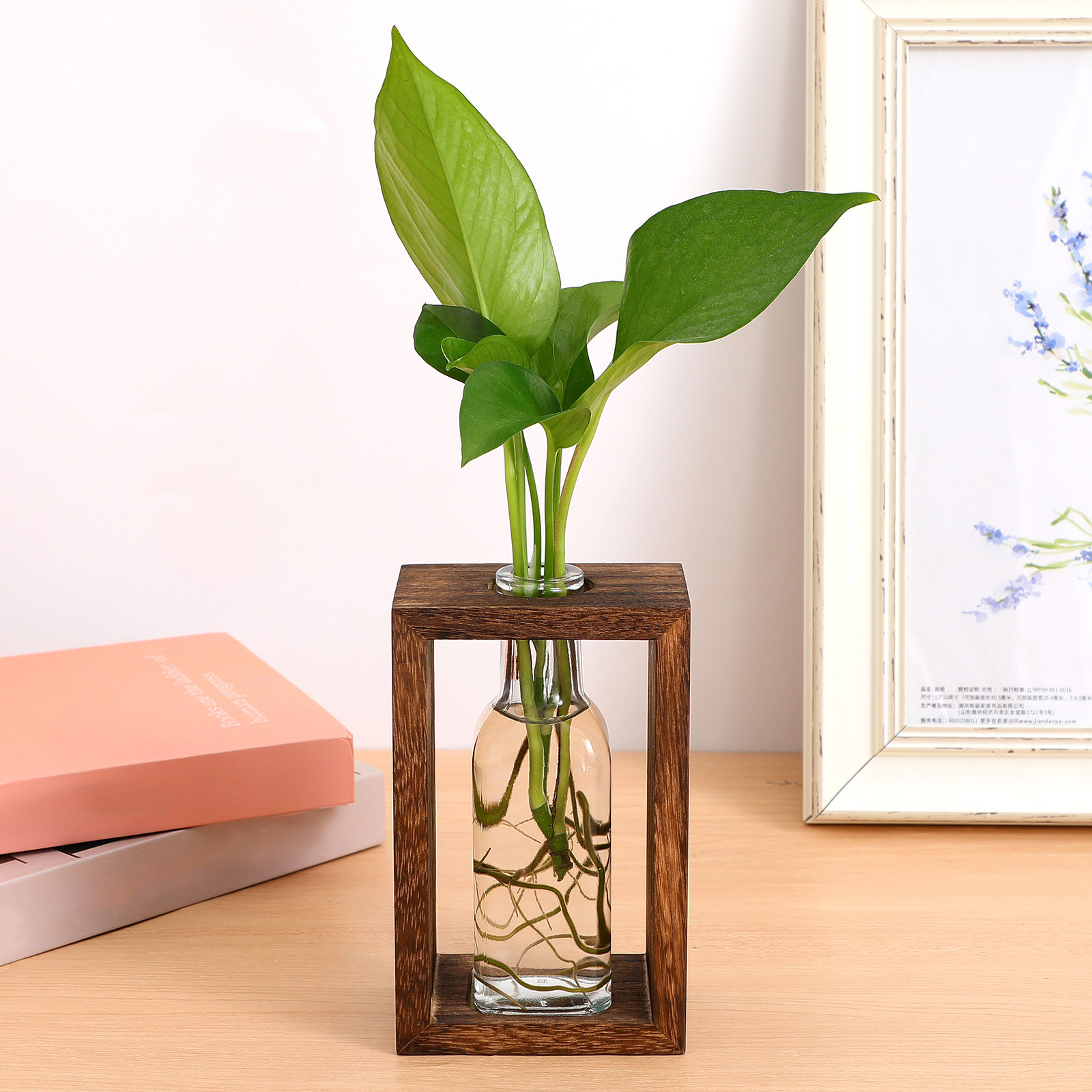 1Set Wooden Hydroponic Plant P - đánh giá và giá Propagation Station Vase
