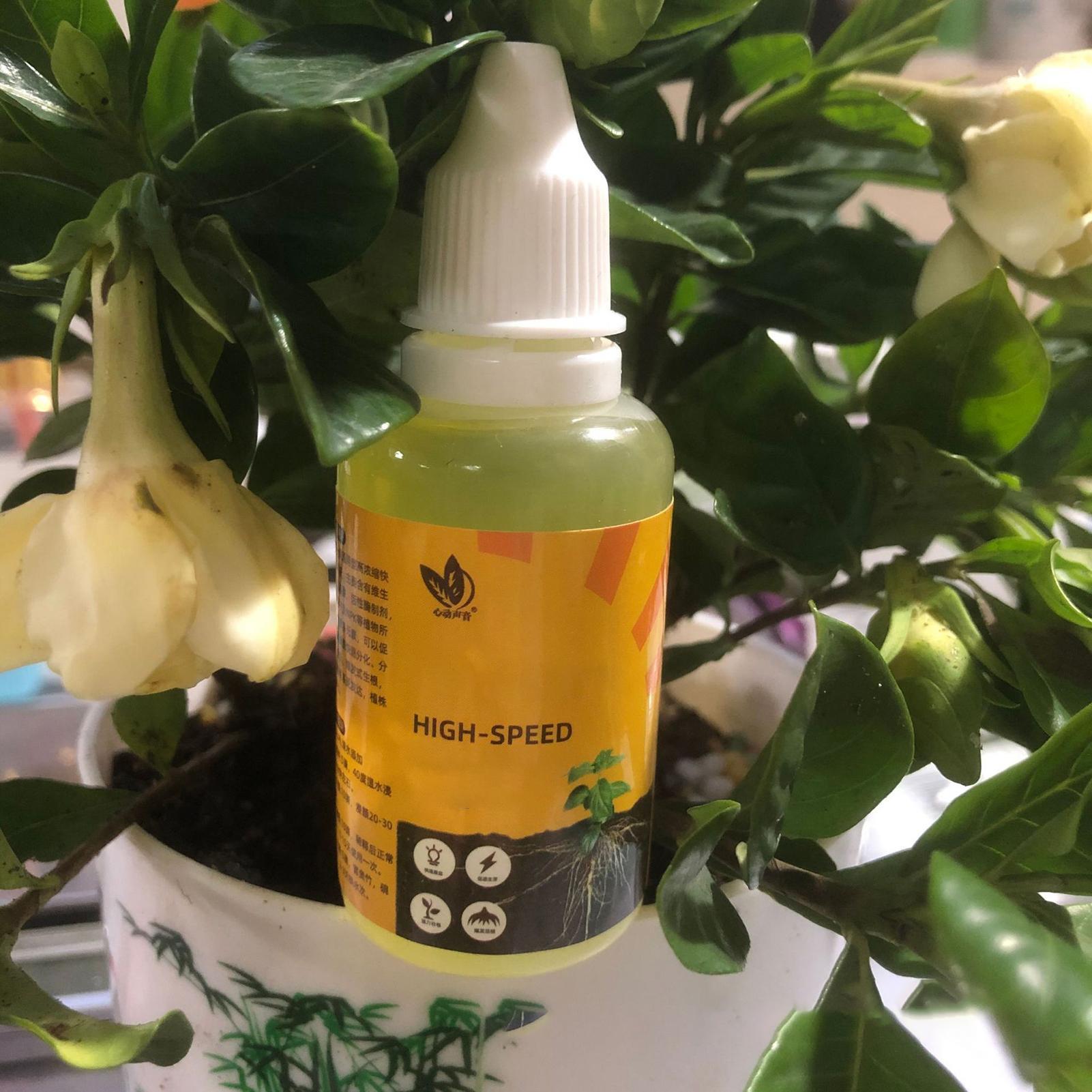 50ml Plant Rooting Stimulator  - đánh giá và giá Root Stimulator Liquid