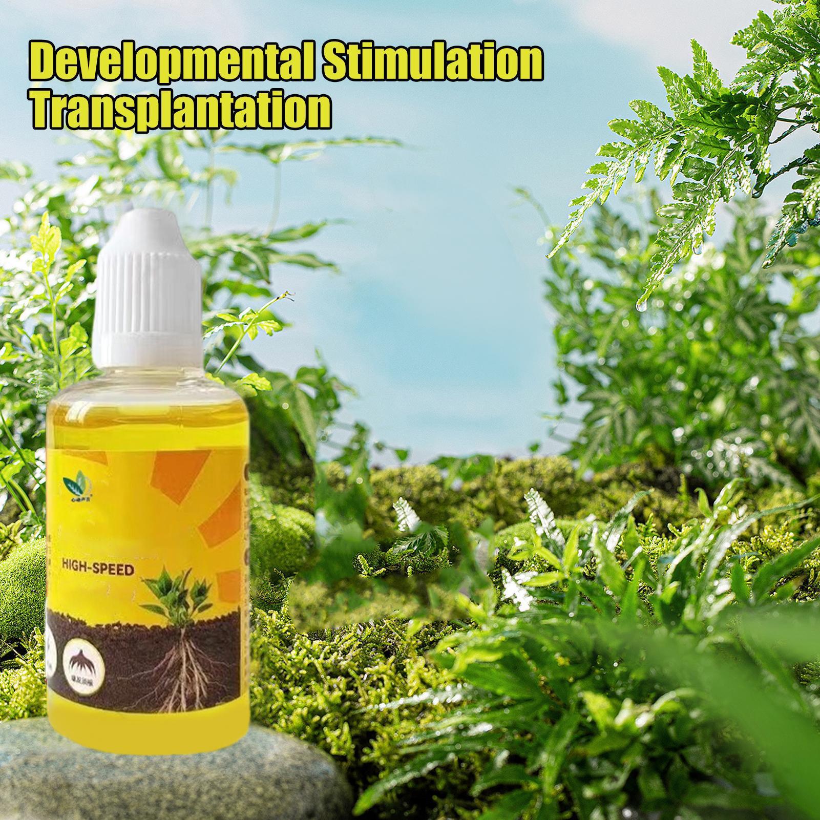 50ml Plant Rooting Stimulator  - đánh giá và giá Root Stimulator Liquid
