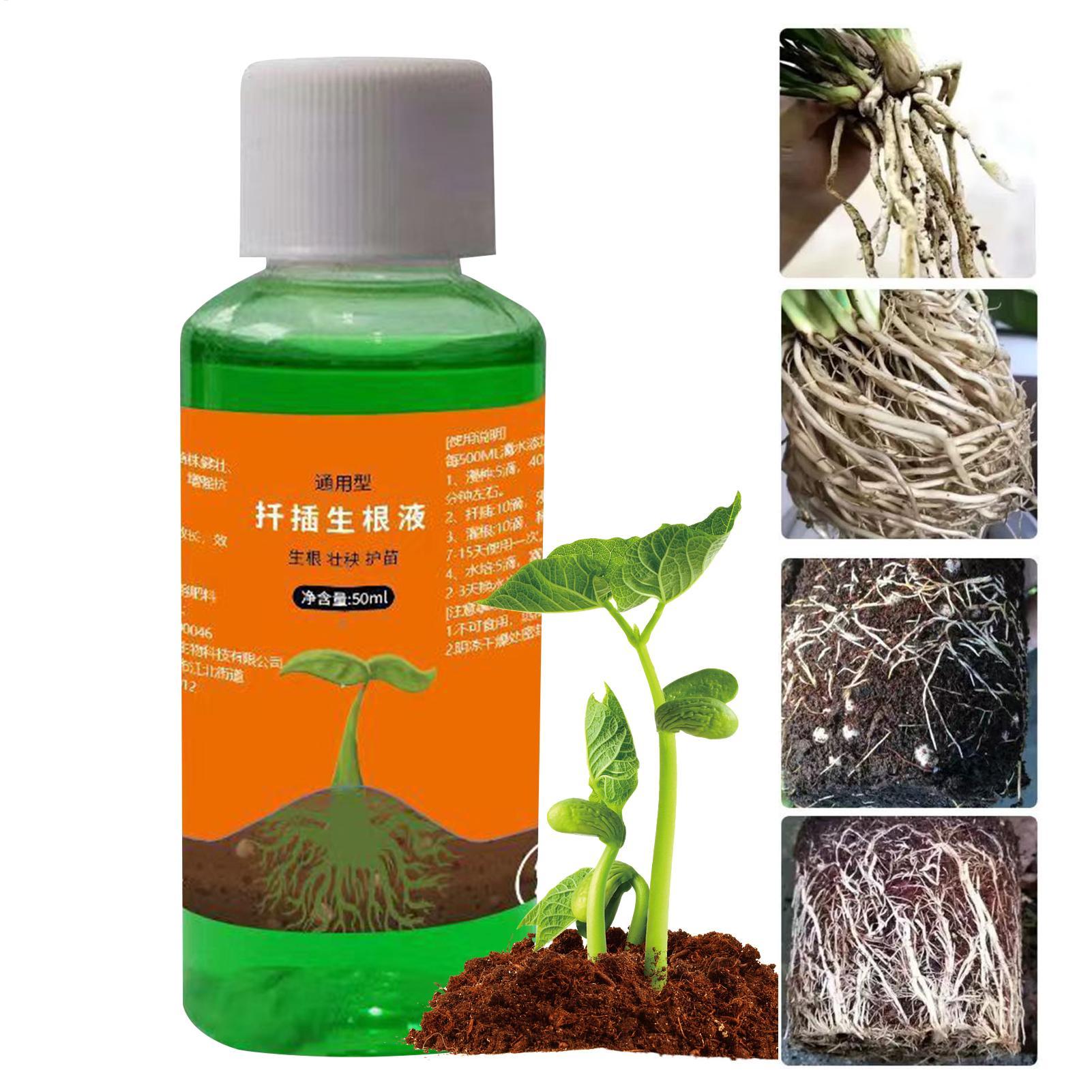 High-Efficiency Root Stimulato - đánh giá và giá Root Stimulator Liquid