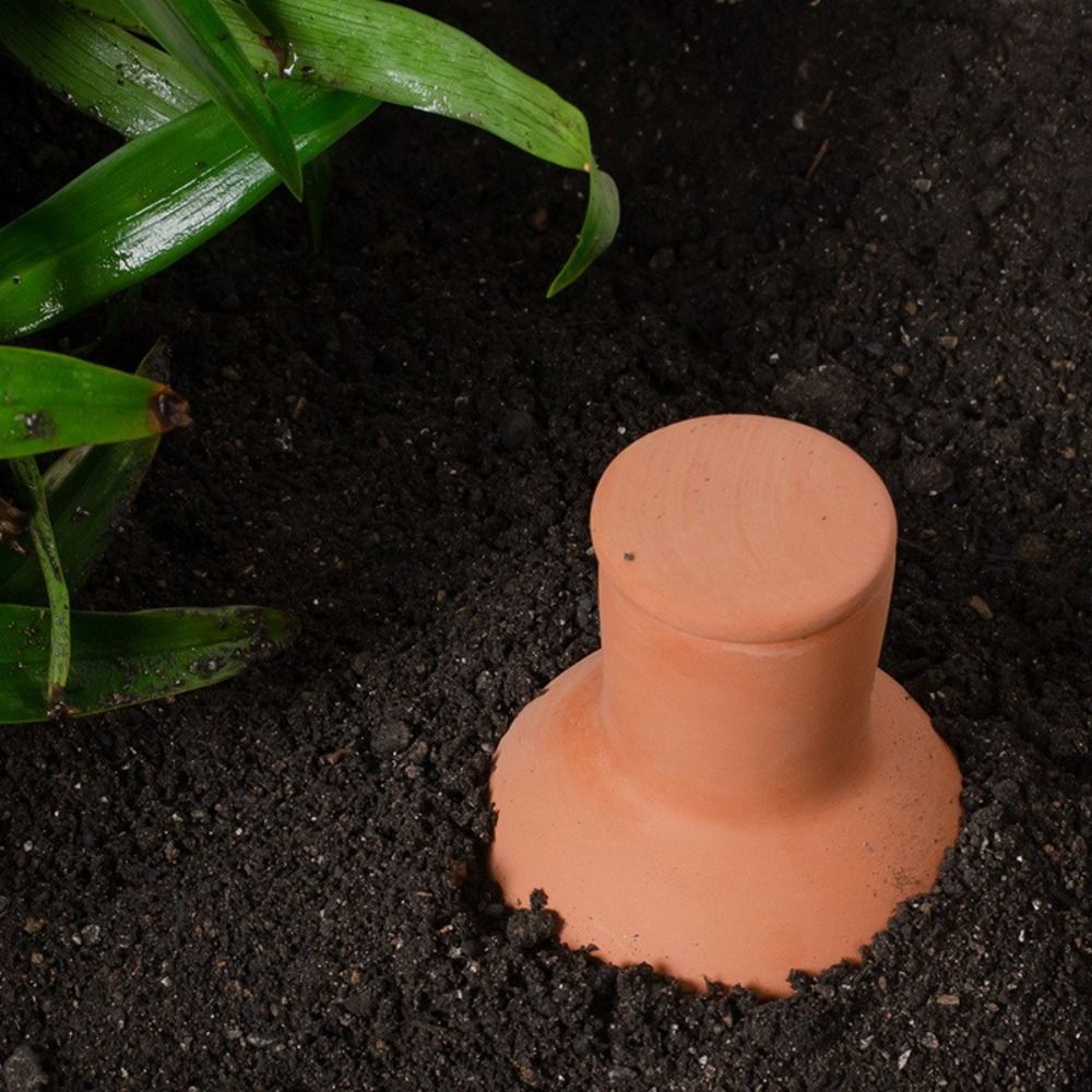 4Pcs Terracotta Material Autom - đánh giá và giá Self Watering Insert